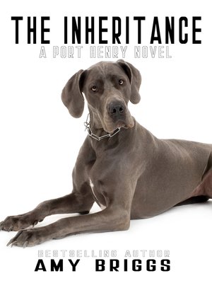cover image of The Inheritance